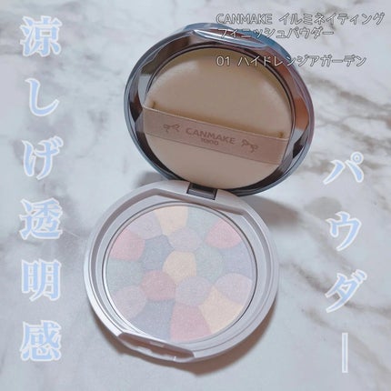 イルミネイティングフィニッシュパウダー ~Abloom~/キャンメイク/プレストパウダーを使ったクチコミ(1枚目)