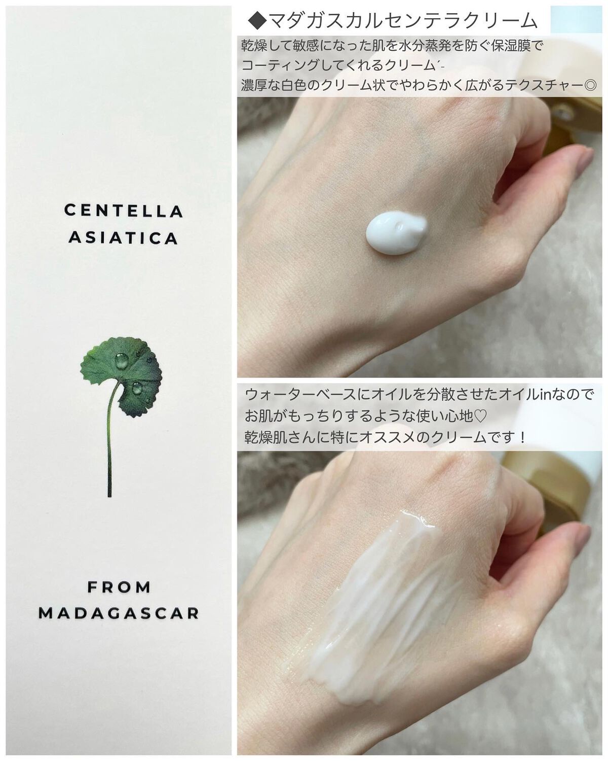 センテラ スージングクリーム/SKIN1004/フェイスクリームを使ったクチコミ(5枚目)