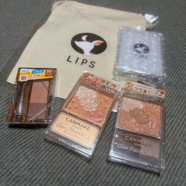 ブラウンメイクセット  LIPSフェスタ Winter 2023/LIPS/メイクアップキットを使ったクチコミ（2枚目）