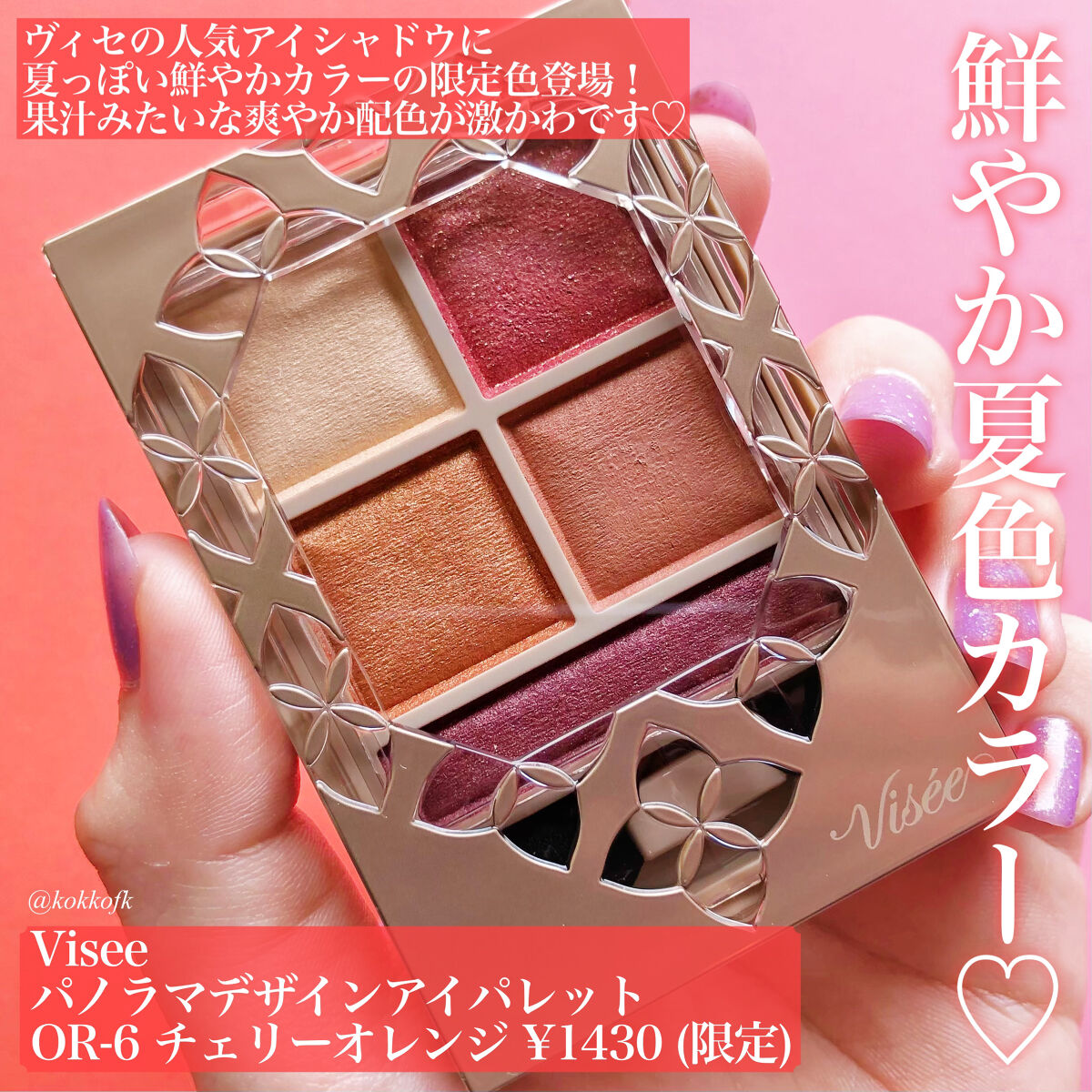 パノラマデザイン アイパレット/Visée/アイシャドウパレットを使ったクチコミ（2枚目）