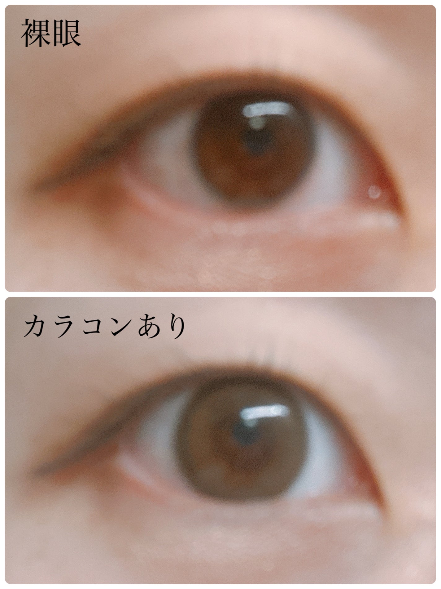 feliamo 1day/feliamo/ワンデー(1DAY)カラコンを使ったクチコミ(2枚目)