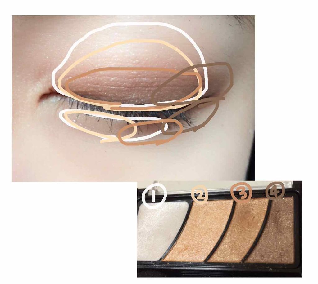 グラデーション アイ カラー(チップ付)/ちふれ/アイシャドウパレットを使ったクチコミ(2枚目)