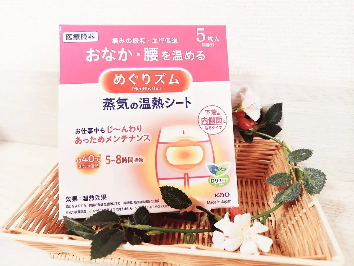 蒸気の温熱シート 下着の内側面に貼るタイプ/めぐりズム/その他を使ったクチコミ（1枚目）