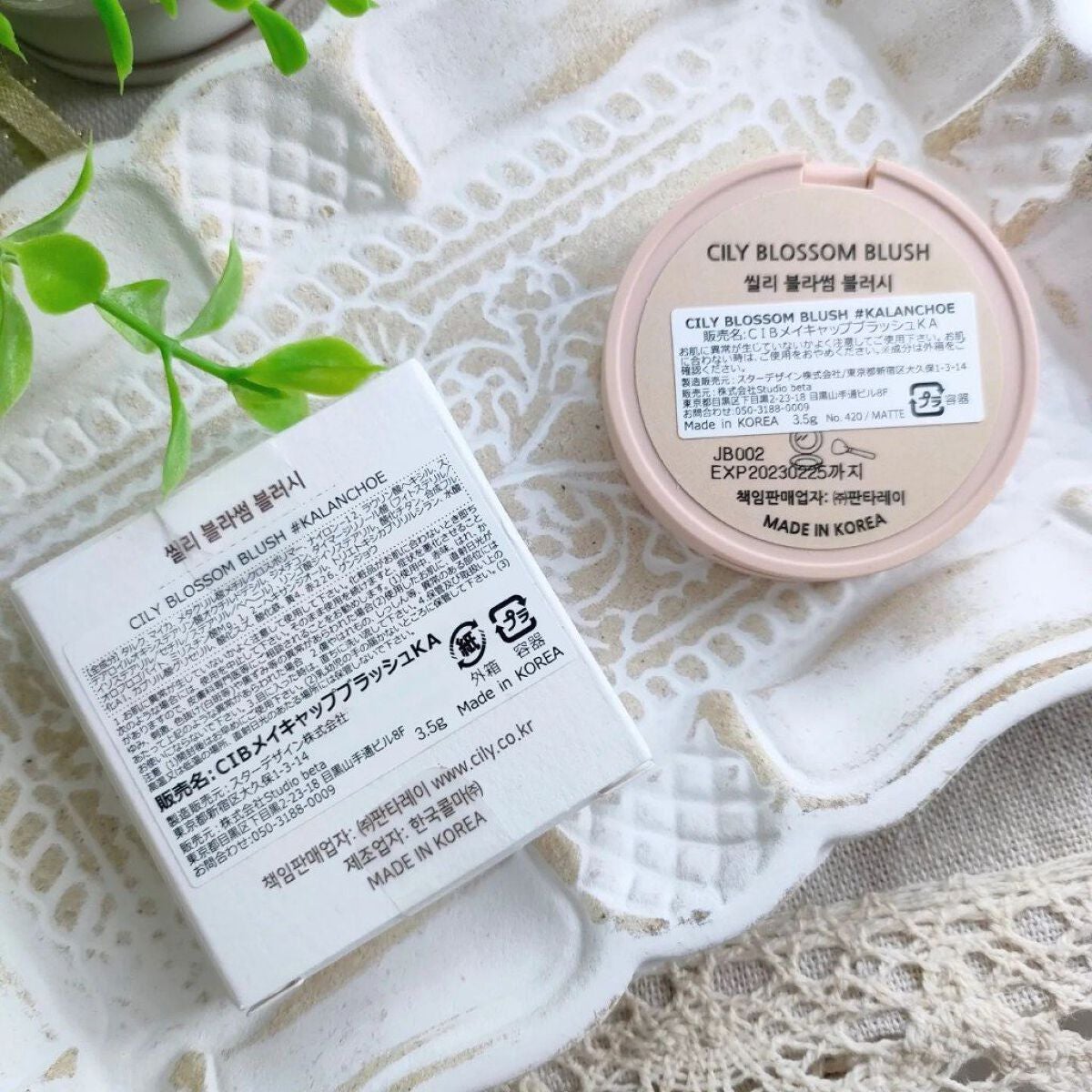 ブロッサムブラッシュ /CILY/パウダーチークを使ったクチコミ(5枚目)