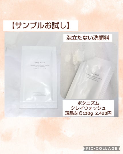 クレイウォッシュ/ボタニズム /洗顔フォームを使ったクチコミ(1枚目)