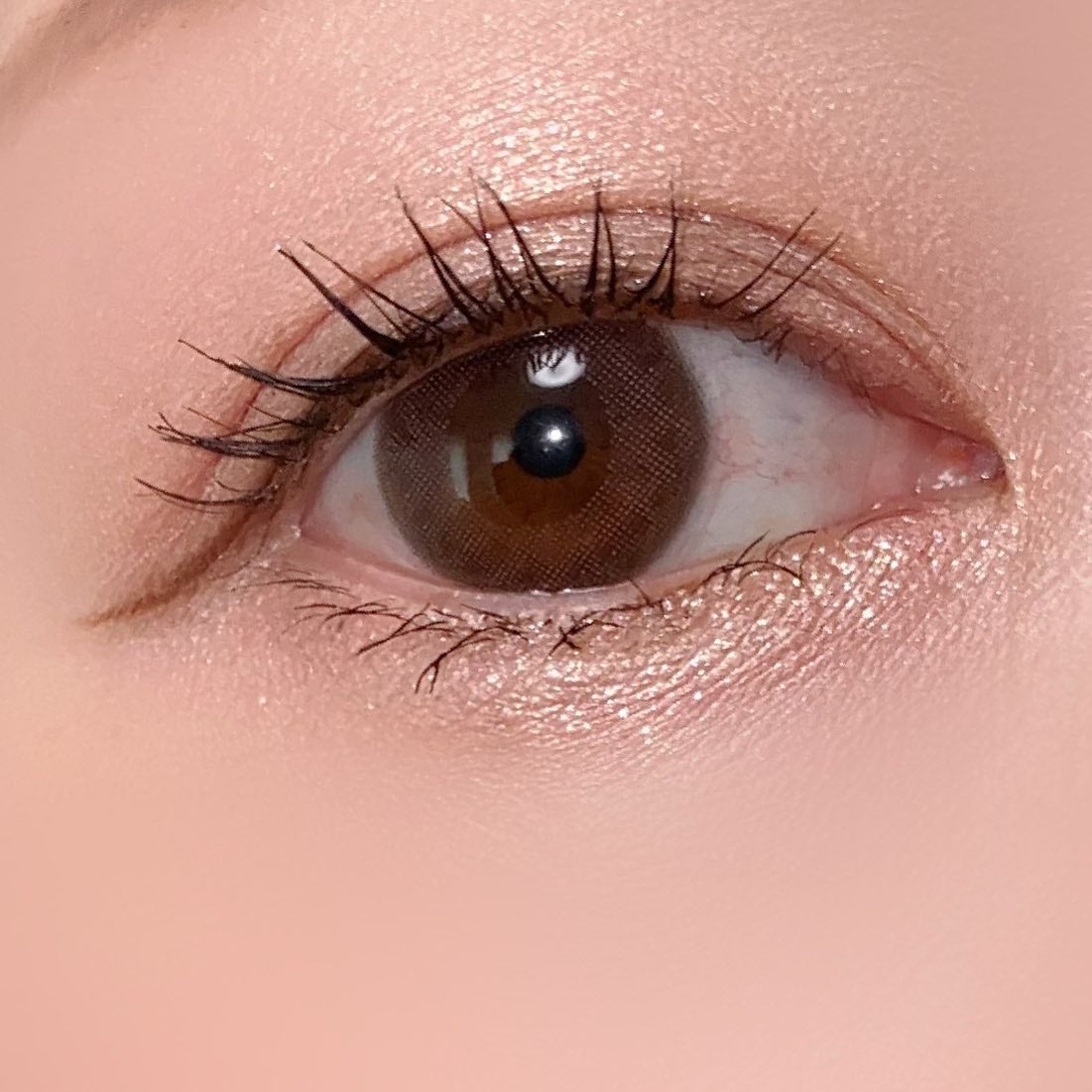 ジルスチュアート ブルームクチュール アイズ ジュエルドブーケ/JILL STUART/アイシャドウパレットを使ったクチコミ(7枚目)