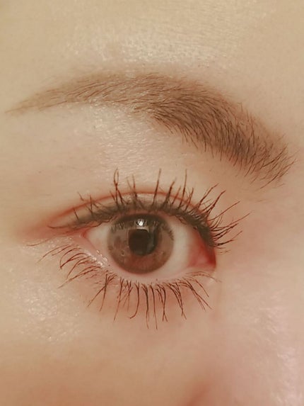 クイックラッシュカーラー/キャンメイク/マスカラ下地を使ったクチコミ(2枚目)