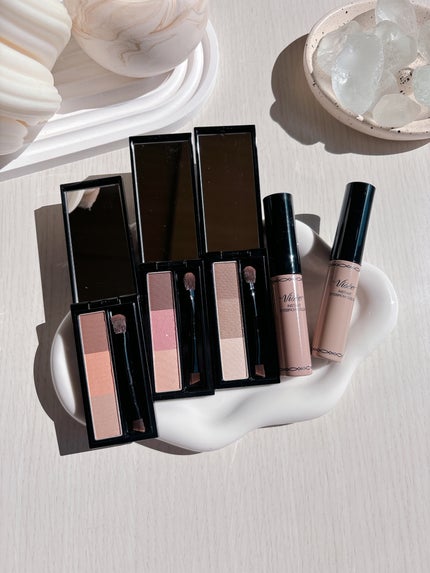 ヴィセ リシェ アイブロウパウダー/Visée/パウダーアイブロウを使ったクチコミ(8枚目)