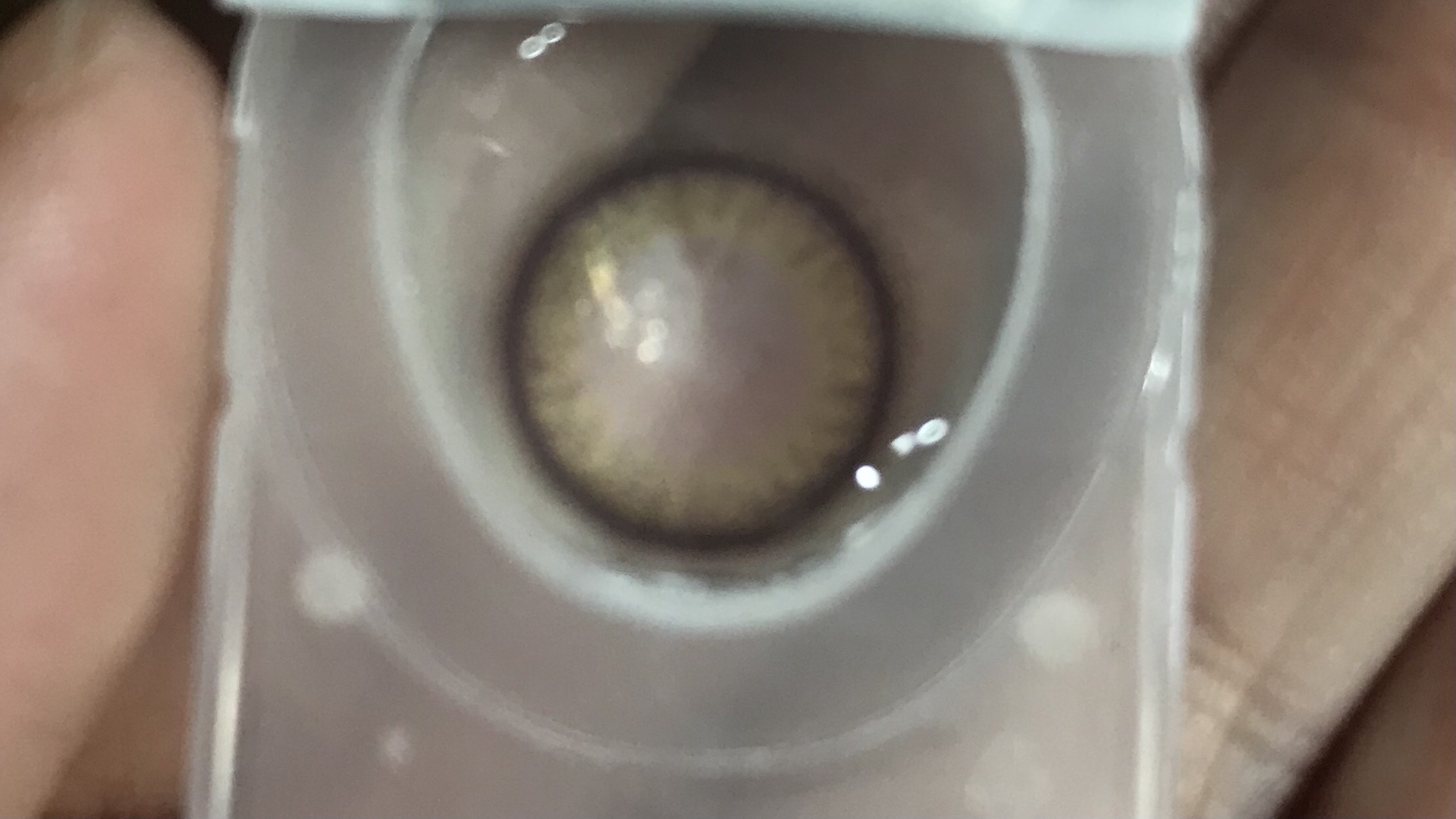 KURI-KURI/IamMe/カラーコンタクトレンズを使ったクチコミ（2枚目）