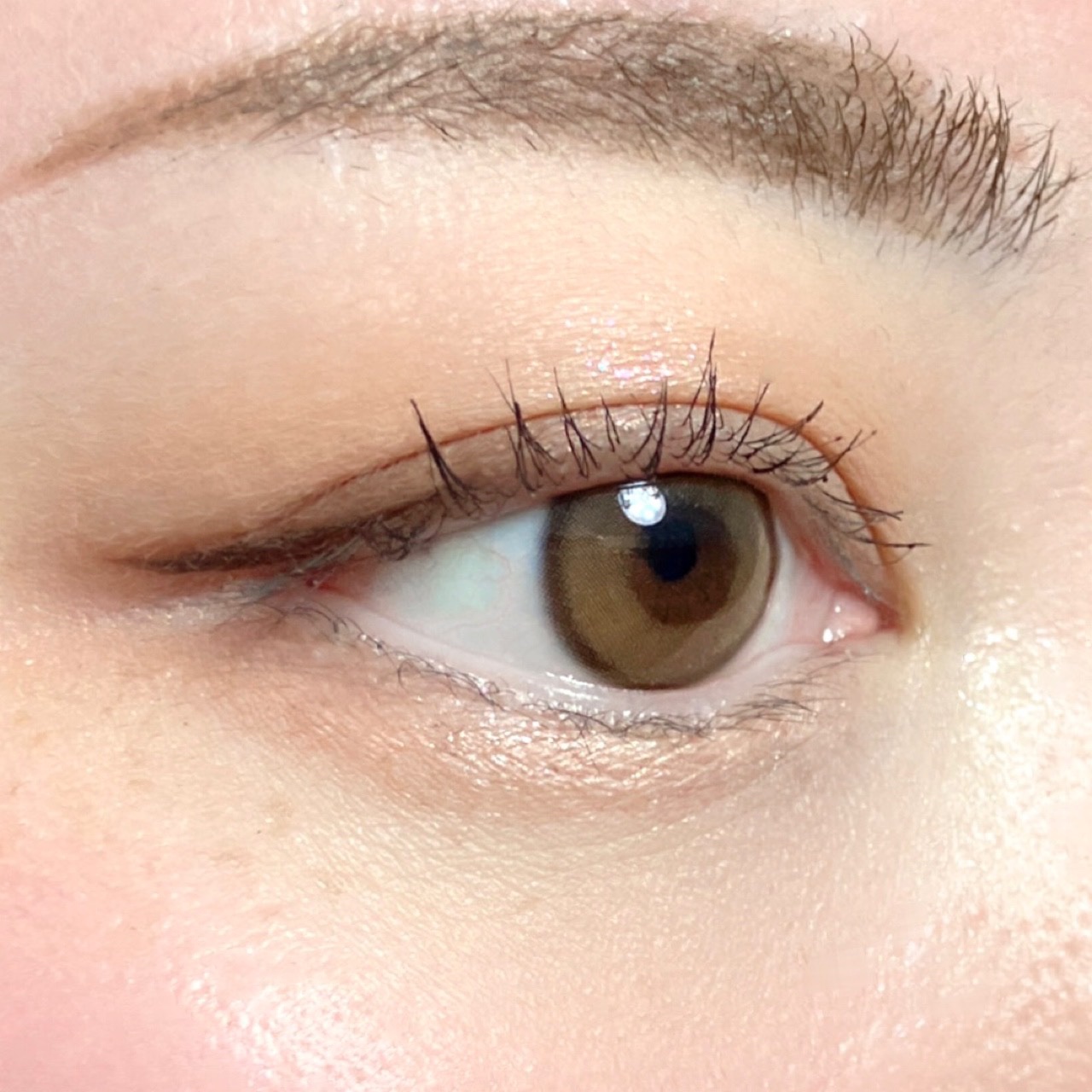 シャドウパレット/dasique/アイシャドウパレットを使ったクチコミ（2枚目）