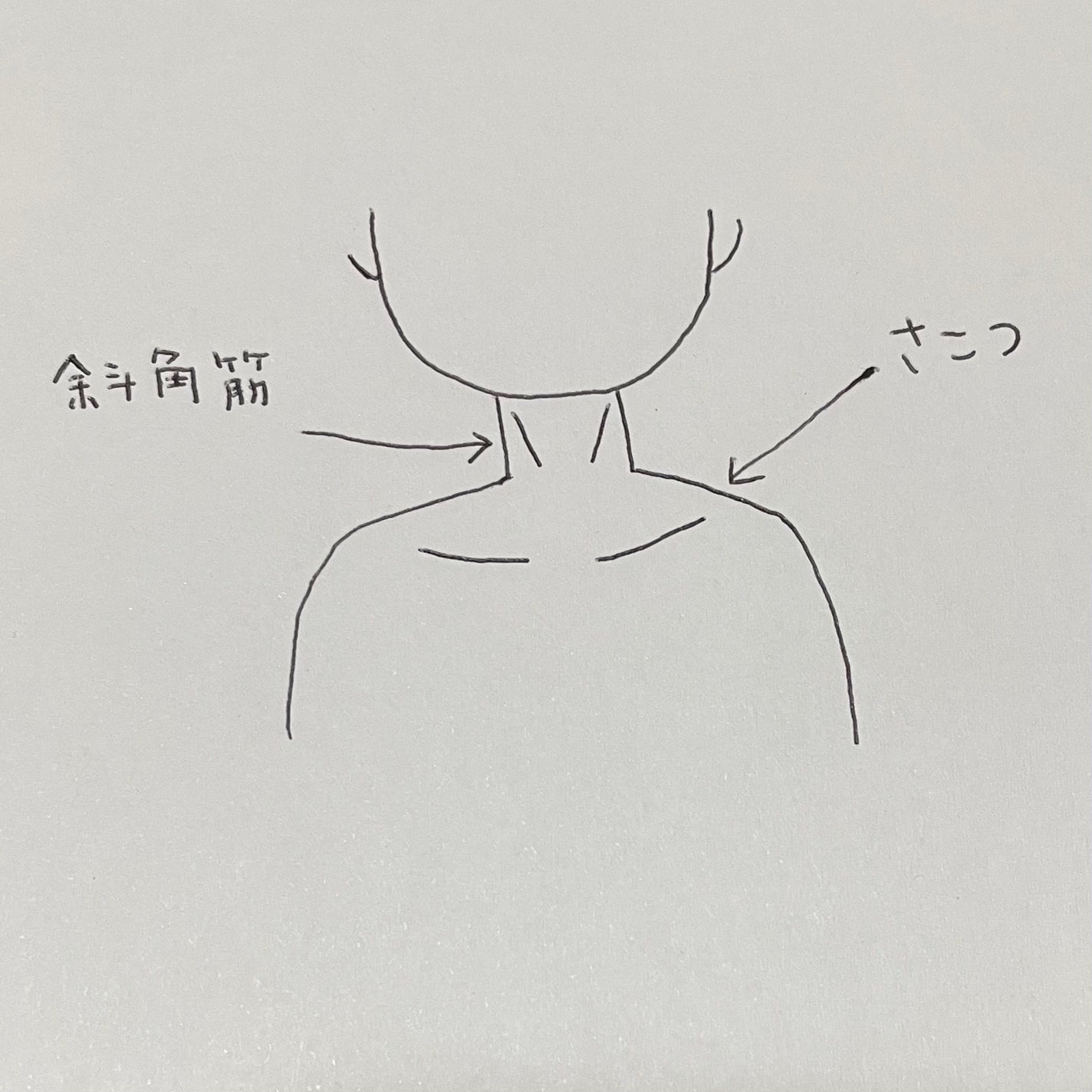 tomoko on LIPS 「冬のタートルネックの首がキツイと感じたことはありませんか?私は..」(4枚目)