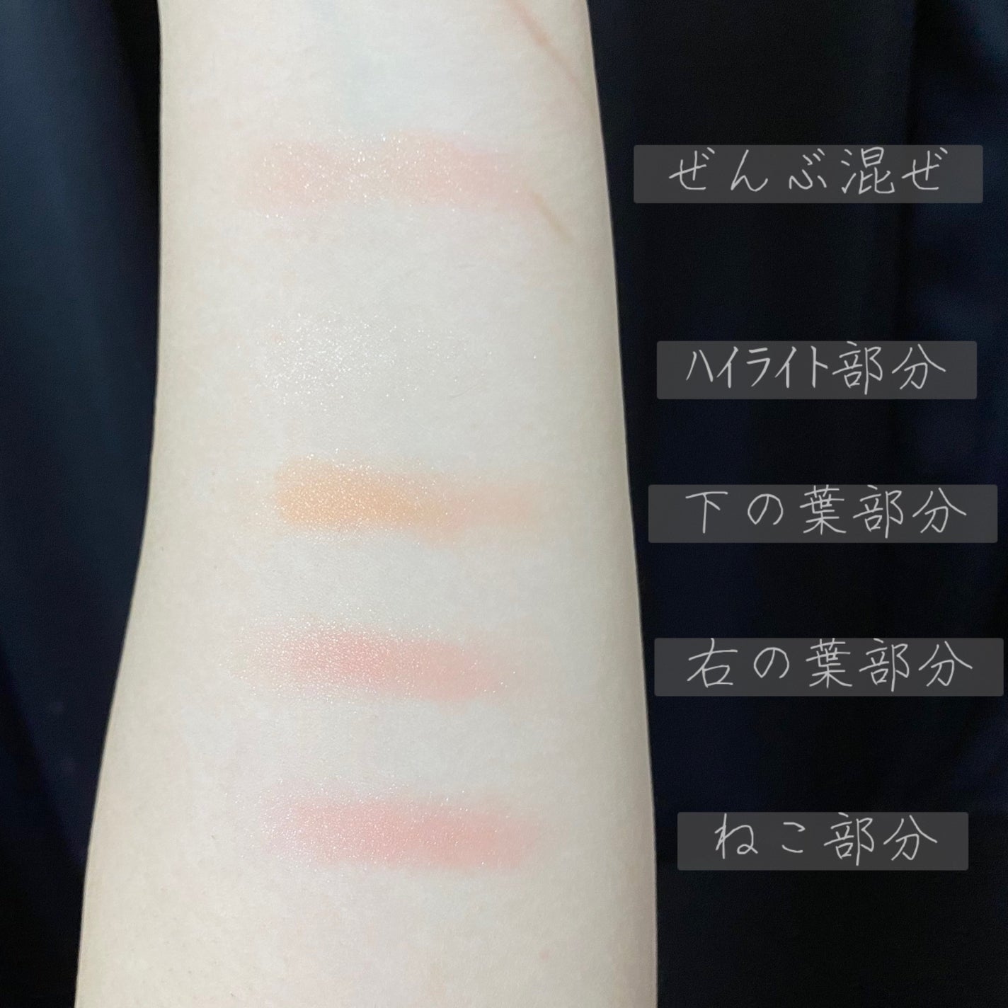 ドリームキャット 四色チーク/ZEESEA/パウダーチークを使ったクチコミ(3枚目)