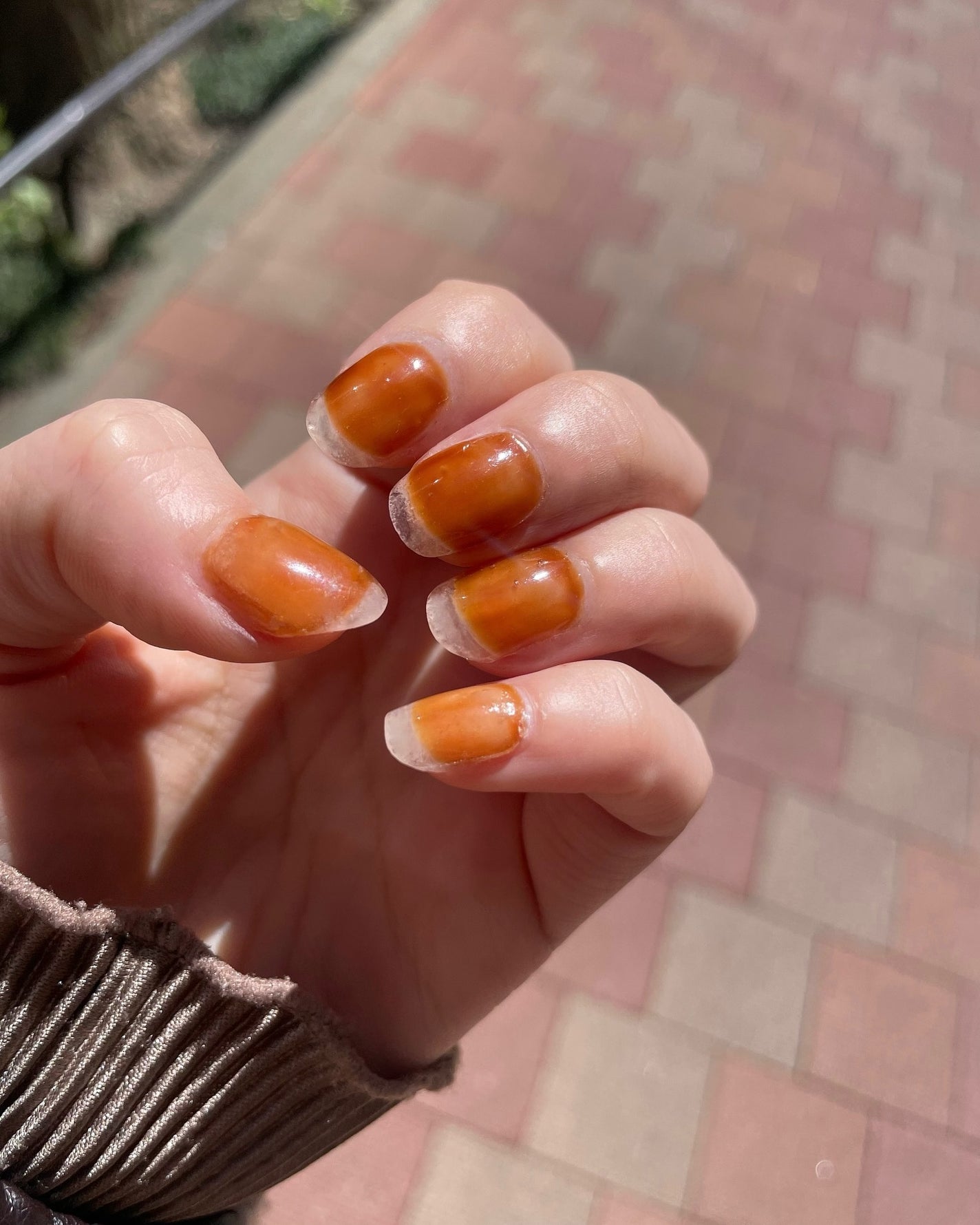 ネイルエクステンションジェル/TOMICCA/ジェルネイルを使ったクチコミ(1枚目)