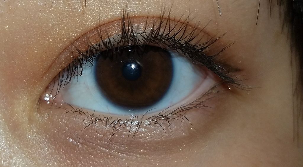 パーフェクトマルチアイズ/キャンメイク/アイシャドウパレットを使ったクチコミ（2枚目）