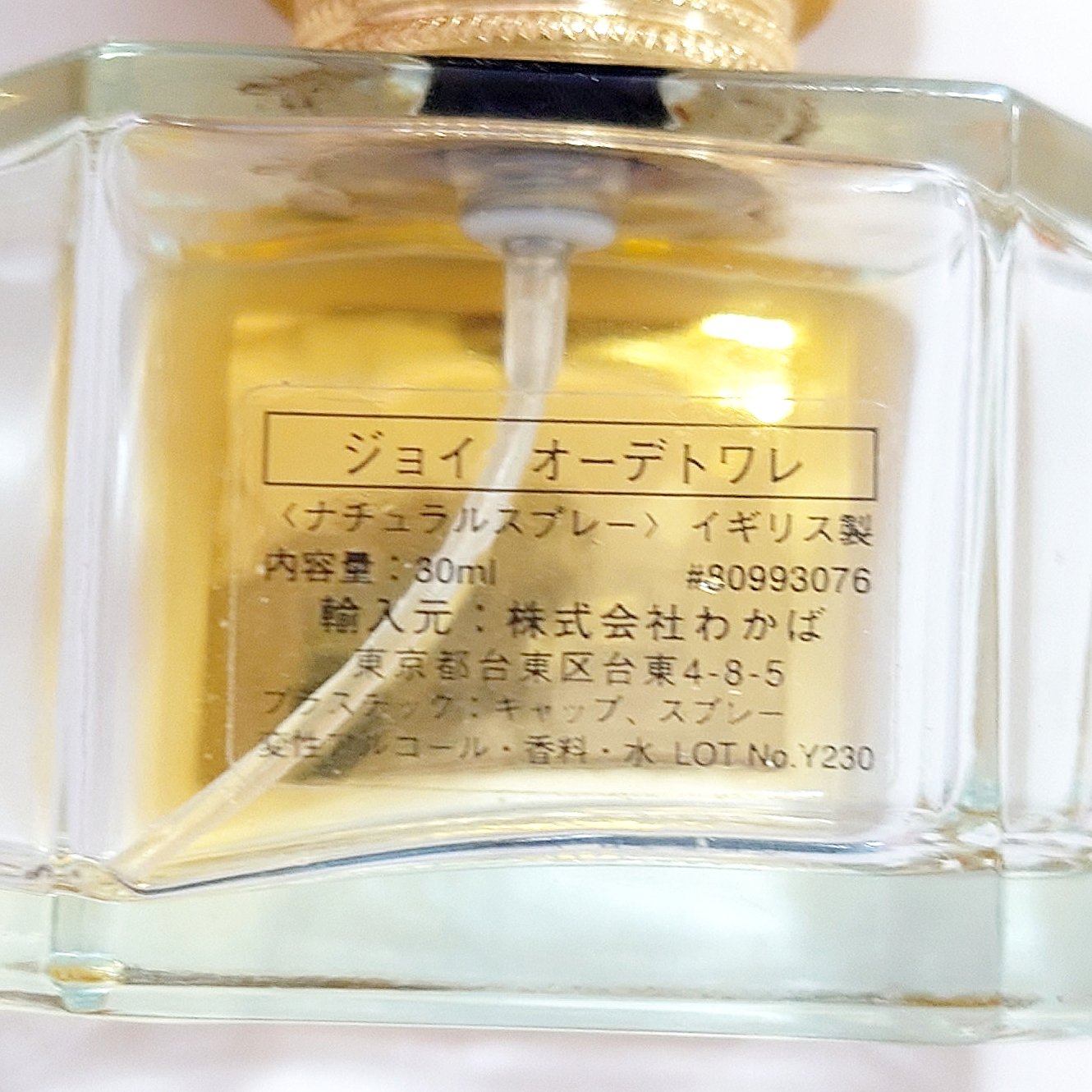 ジャンパトー ジョイ