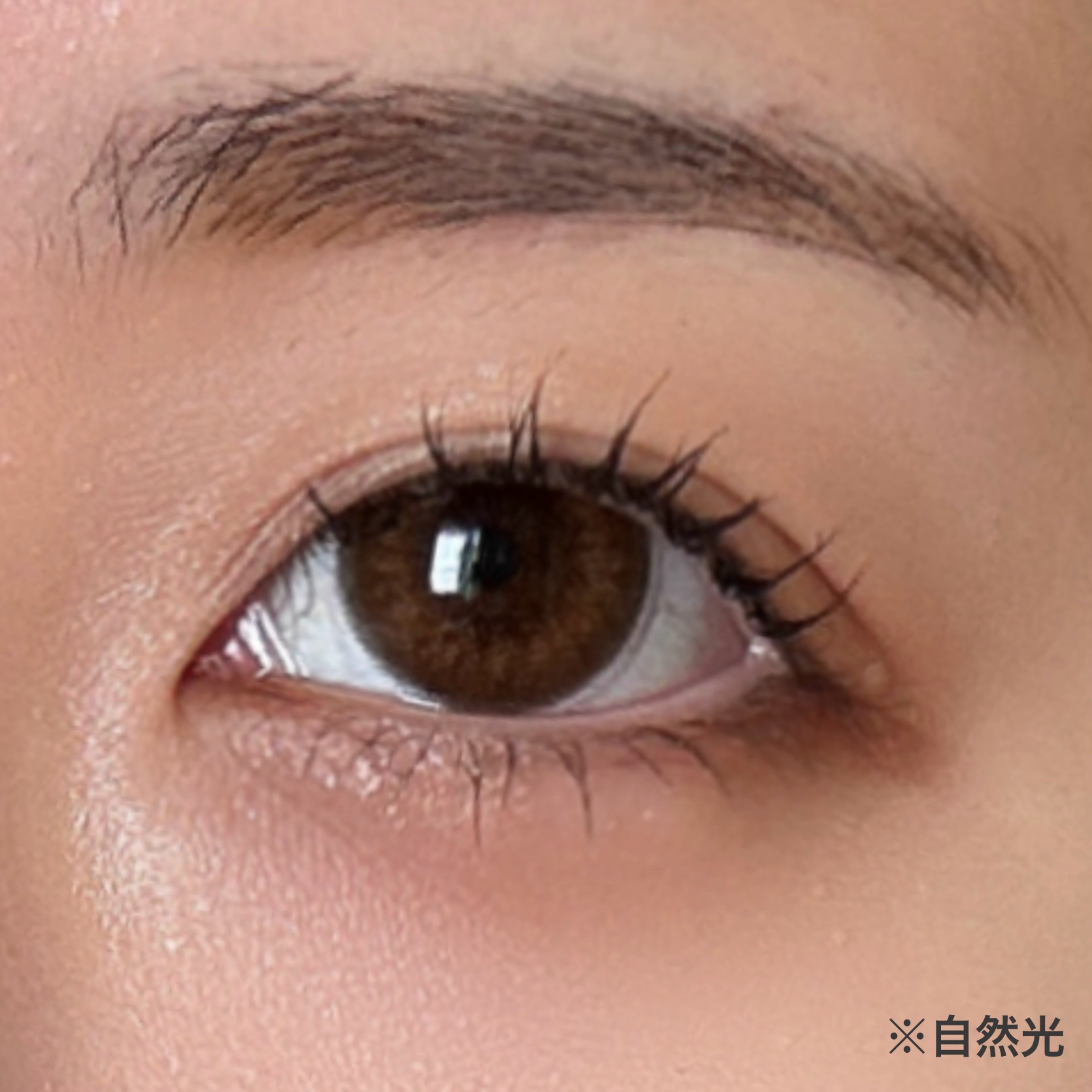 Angelcolor Bambi Series Vintage 1day ヴィンテージベアー/AngelColor/ワンデー（１DAY）カラコンを使ったクチコミ（2枚目）