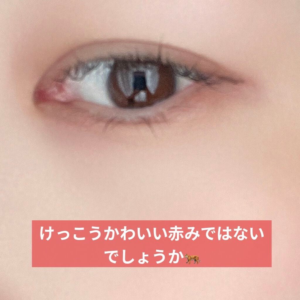 ムジークタイガープレイカラーアイズ/ETUDE/アイシャドウパレットを使ったクチコミ(5枚目)