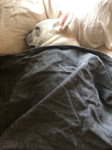 ホホバオイル/無印良品/ボディオイルを使ったクチコミ(2枚目)