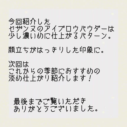 ノーズ&アイブロウパウダー/CEZANNE/パウダーアイブロウを使ったクチコミ(9枚目)