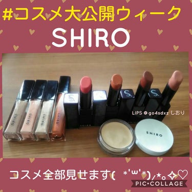 ショコラリップスティック 0A02 ヘーゼルナッツ/SHIRO/口紅を使ったクチコミ（1枚目）