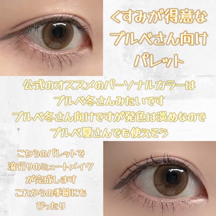 シャドウパレット/dasique/アイシャドウパレットを使ったクチコミ(4枚目)