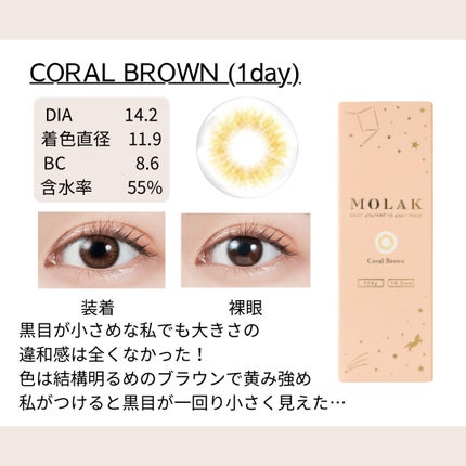 MOLAK 1day/MOLAK/ワンデー(1DAY)カラコンを使ったクチコミ(3枚目)