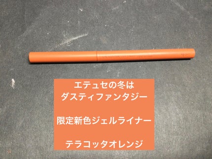エテュセ ラスティング ジェルライナー 16 テラコッタオレンジ(限定)/ettusais/ジェルアイライナーを使ったクチコミ(1枚目)