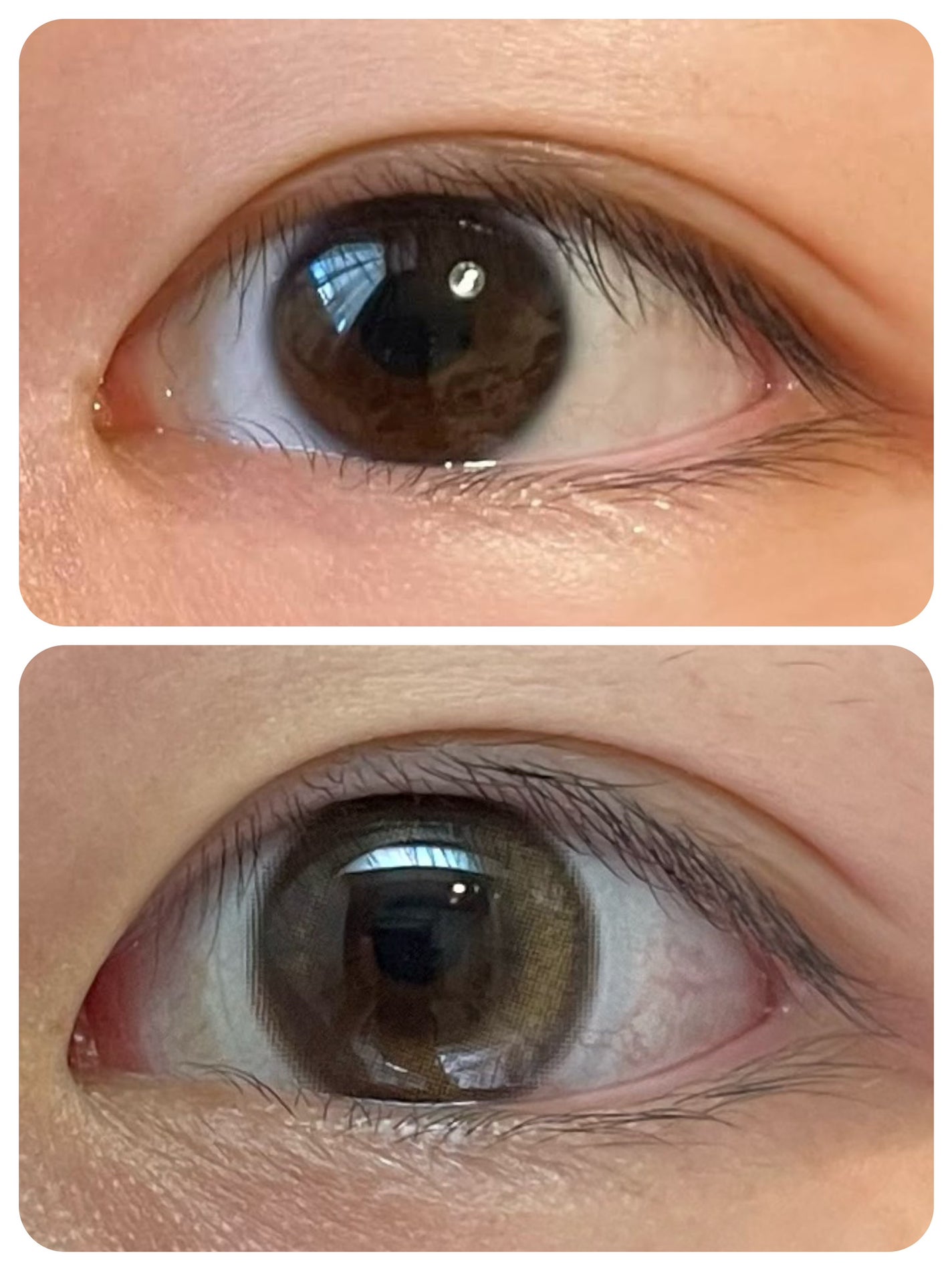 Glowy 1day/OLENS/ワンデー(1DAY)カラコンを使ったクチコミ(2枚目)