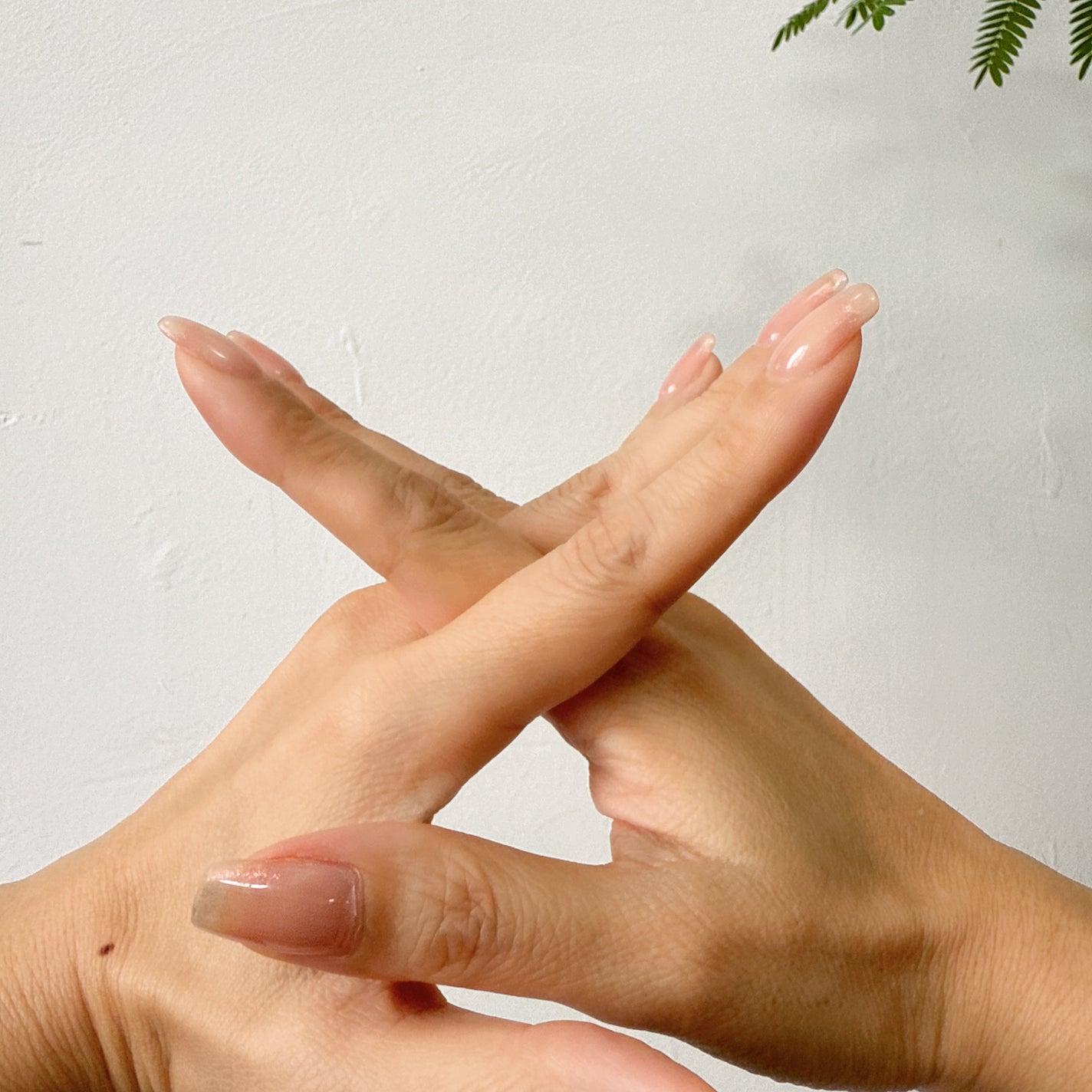 Lisaðââ¬æçš¿ãããã©ããð«¶ð» on LIPS ãæå
ã¯ãã®äººèªäœã®çŸããã衚ããŠãããšèšãããŠãŸãâð»ç§ã®#ã..ãïŒ5æç®ïŒ