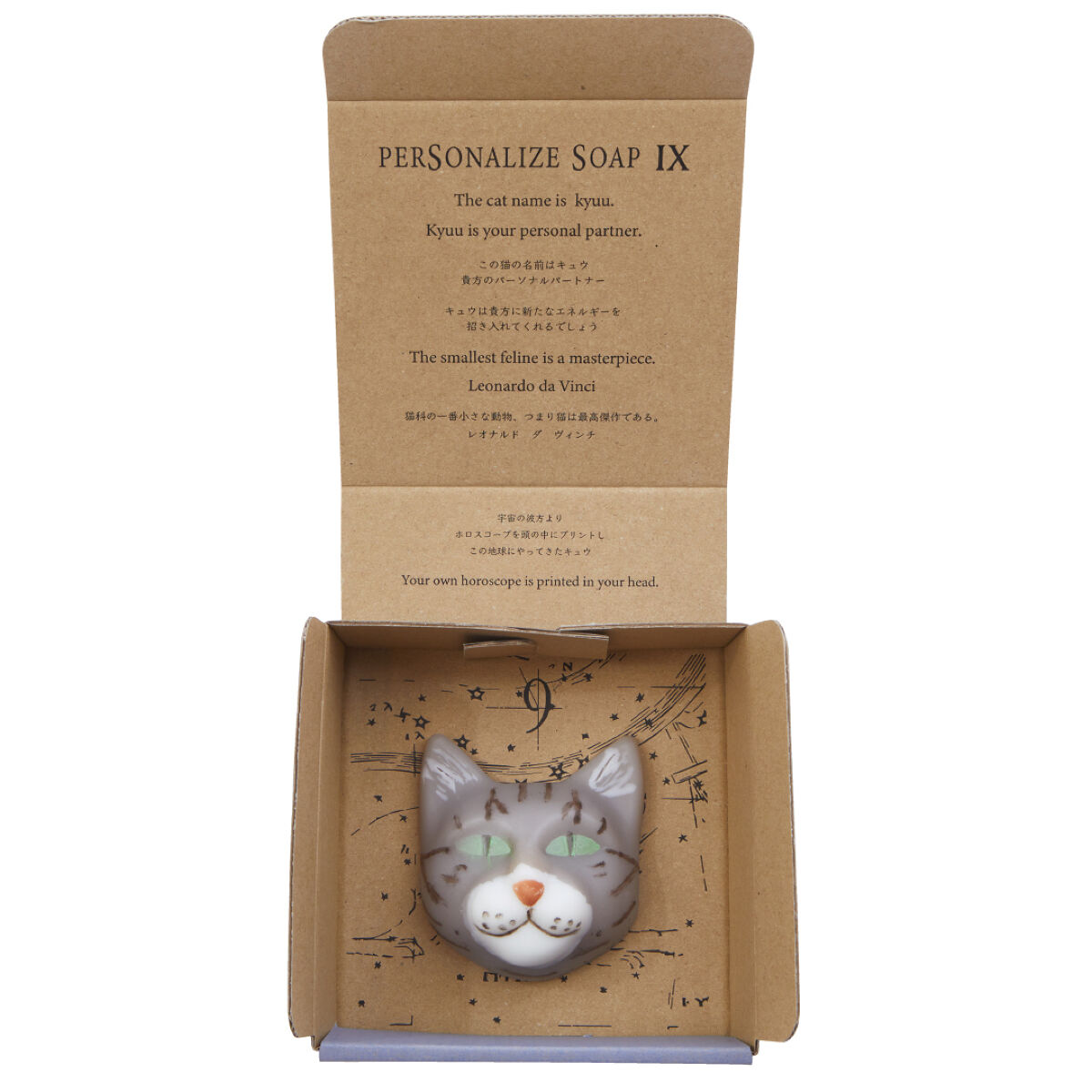 9.kyuu(キュウ) ハコイリ12Cats《スペラ》