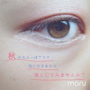 UR GLAM　POWDER EYESHADOW/U R GLAM/シングルアイシャドウを使ったクチコミ（1枚目）