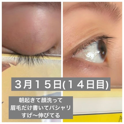 スカルプDボーテ ピュアフリーアイラッシュセラム プレミアムクイーン/アンファー(スカルプD)/まつげ美容液を使ったクチコミ(7枚目)