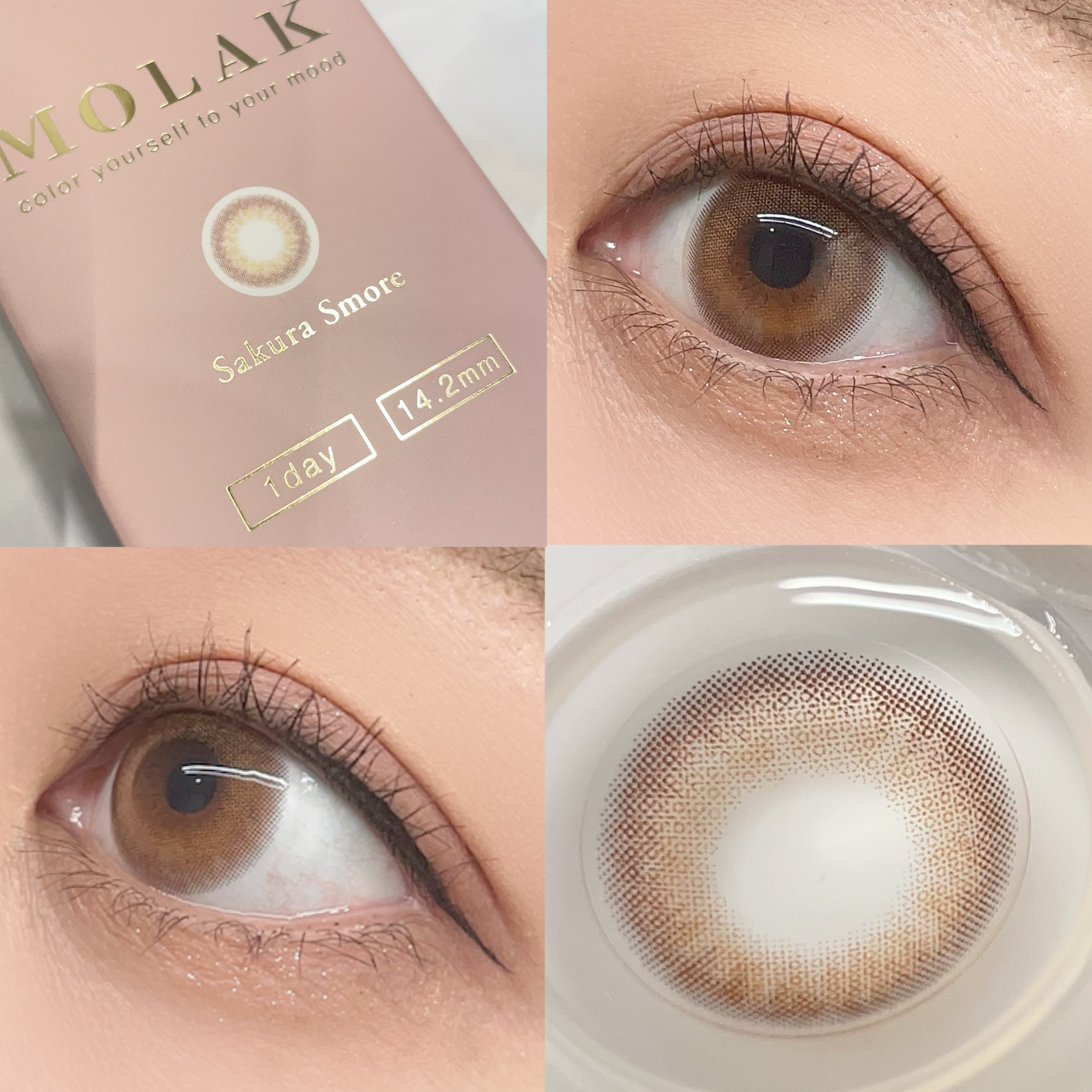 MOLAK 1day サクラスモア/MOLAK/ワンデー（１DAY）カラコンを使ったクチコミ（1枚目）