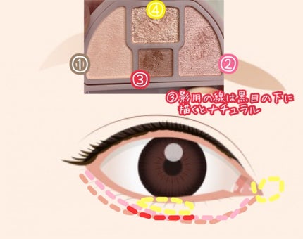 プランぷくコーデアイズ/キャンメイク/パウダーアイシャドウを使ったクチコミ(3枚目)