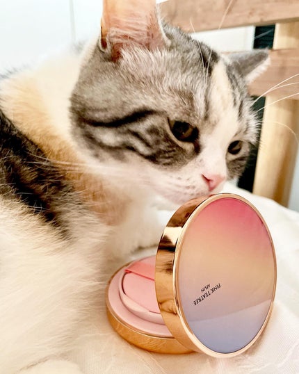 ピンクティーツリーカバークッション/APLIN/クッションファンデーションを使ったクチコミ(1枚目)