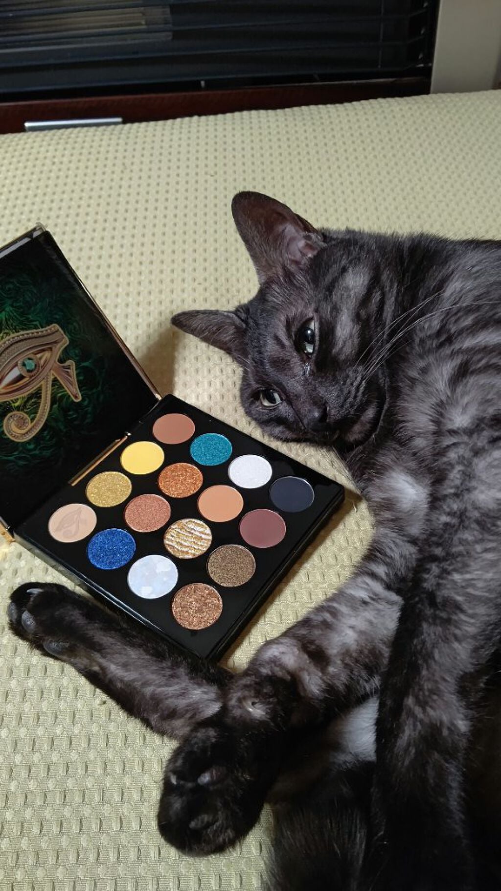 大英博物館 エジプトシリーズ アイシャドウパレット/ZEESEA/アイシャドウパレットを使ったクチコミ(3枚目)