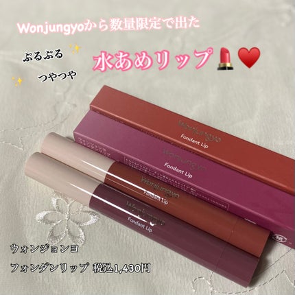 ウォンジョンヨ フォンダンリップ/Wonjungyo/口紅を使ったクチコミ(1枚目)