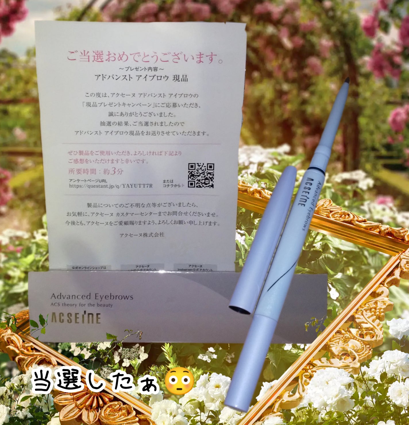 アドバンスト アイブロウ /ACSEINE/アイブロウペンシルを使ったクチコミ(1枚目)