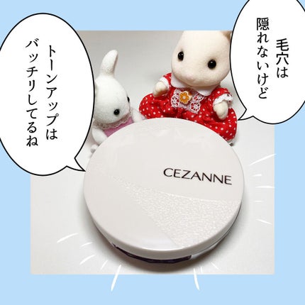 毛穴レスパウダー/CEZANNE/プレストパウダーを使ったクチコミ(1枚目)