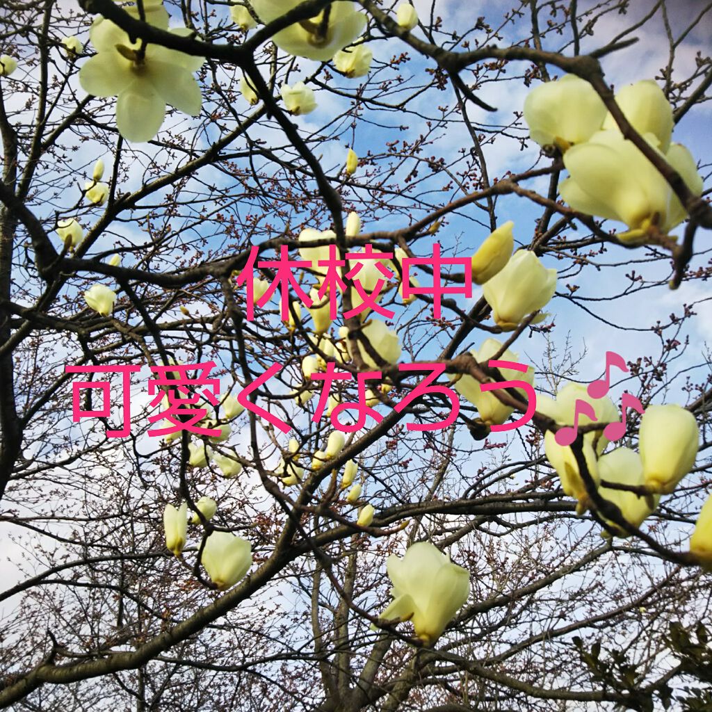 ハトムギボディミルク/麗白/ボディミルクを使ったクチコミ（1枚目）