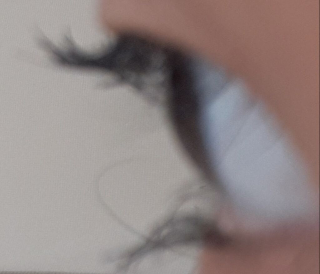 マツイクガールズラッシュ（フェミニンボリューム）/インテグレート/マスカラを使ったクチコミ（3枚目）