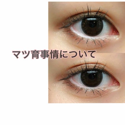 ラピッドラッシュ(R) 日本仕様正規品/ベリタス/まつげ美容液を使ったクチコミ(1枚目)