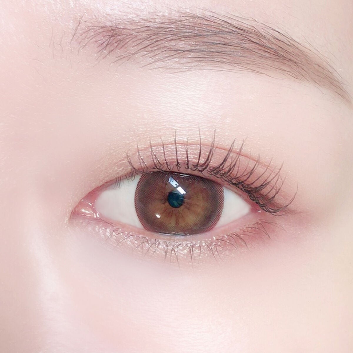 ビュームワンデー ピュアブラウン