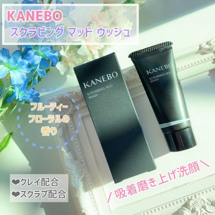 スクラビング マッド ウォッシュ/KANEBO/洗顔フォームを使ったクチコミ(1枚目)
