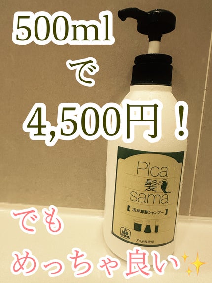 Pica髪samaシリーズ*海苔シャンプー/Pica髪sama/市販シャンプーを使ったクチコミ(1枚目)