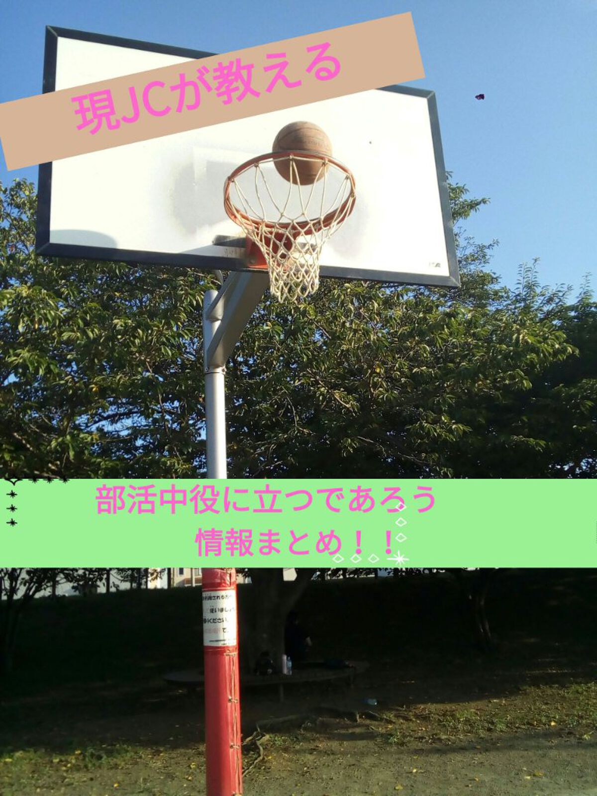 DHC ビタミンＣハードカプセル/DHC/美容サプリメントを使ったクチコミ（1枚目）