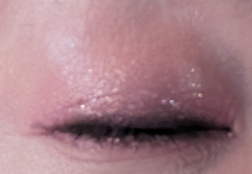 ドリームランドアイシャドウ ( 4シェード ) #01 ピンク/ZEESEA/アイシャドウパレットを使ったクチコミ（3枚目）