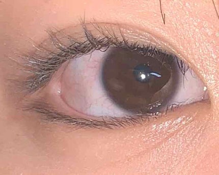 クイックラッシュカーラー/キャンメイク/マスカラ下地を使ったクチコミ(3枚目)