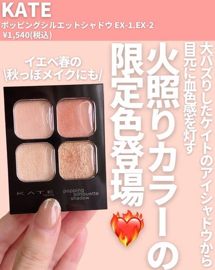 ケイト ポッピングシルエットシャドウ/KATE/アイシャドウパレットを使ったクチコミ(2枚目)