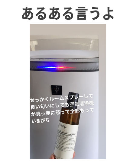 アロマティック ルームスプレー/Aesop/ファブリックミストを使ったクチコミ(8枚目)